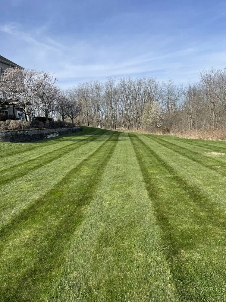 Affordable landscape design near you in Washingtonville, NY by Romer's Landscaping and Lawncare