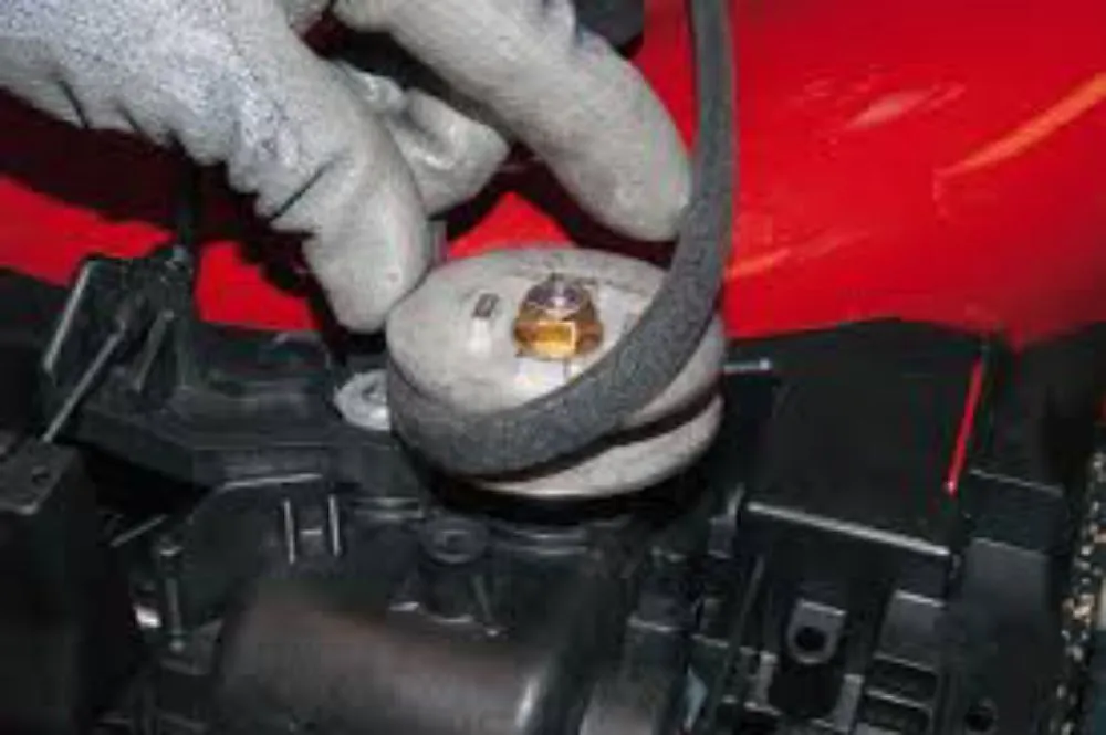 Affordable landscape installation in Tampa, FL by Rome's Mobile Lawnmower Repair