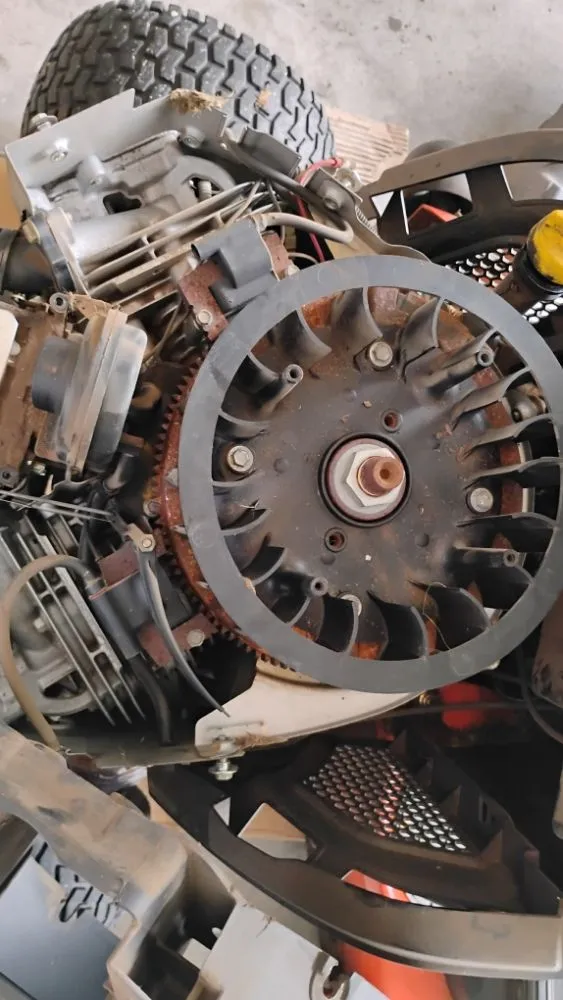 Reliable yard maintenance experts serving Tampa, FL - Rome's Mobile Lawnmower Repair