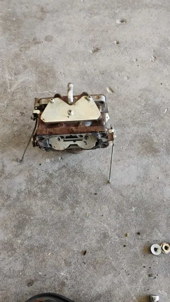 Expert residential landscaping for beautiful yards across Tampa, FL - Rome's Mobile Lawnmower Repair