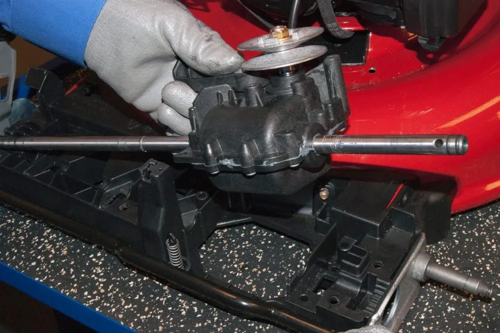 Custom yard maintenance for beautiful yards across Tampa, FL - Rome's Mobile Lawnmower Repair