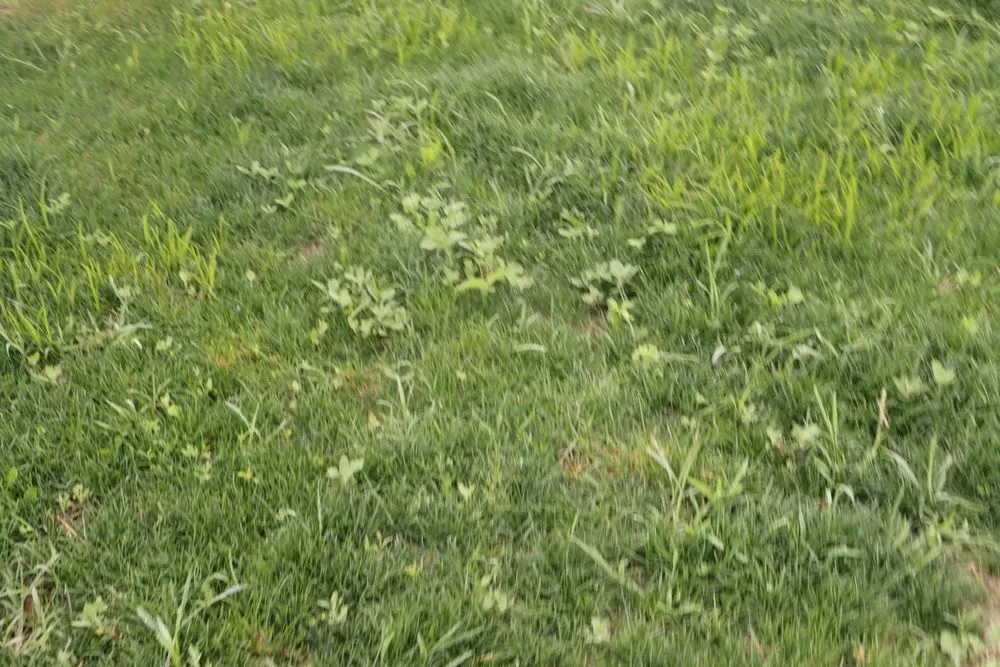 Top-rated garden landscaping in Hobart, IN by Romes Property Maintenance