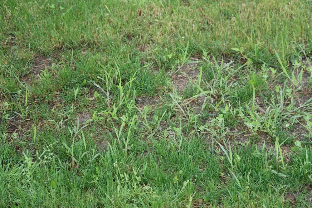 Top-rated lawn mowing service in Hobart, IN - Romes Property Maintenance