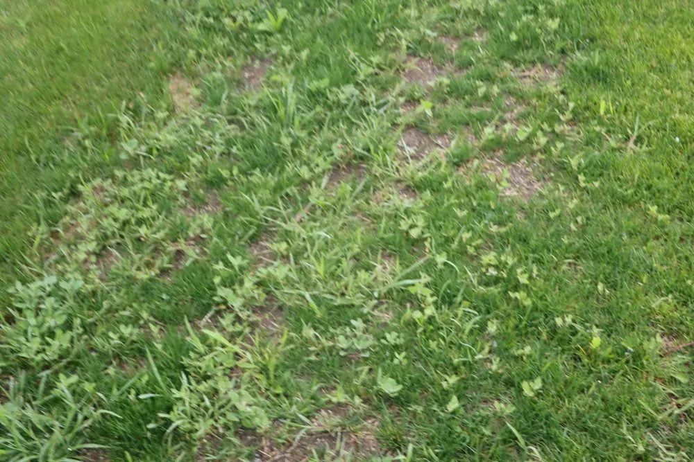 Top-rated landscape design near you in Hobart, IN by Romes Property Maintenance