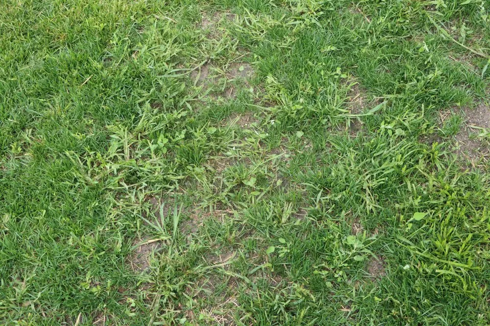 Reliable yard maintenance experts serving Hobart, IN - Romes Property Maintenance