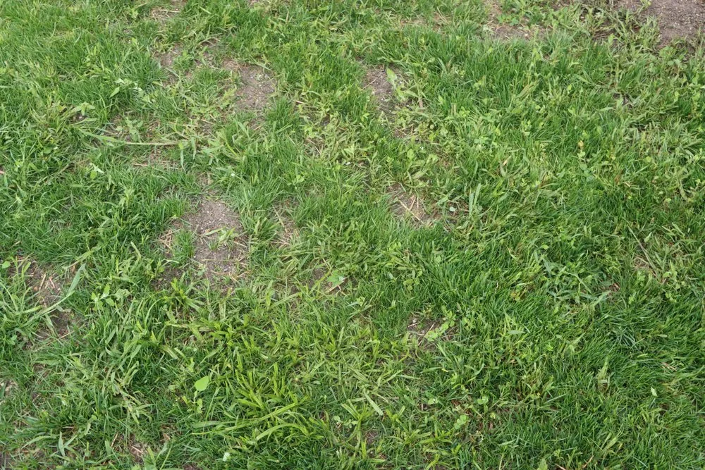 Reliable landscape design for residential properties in Hobart, IN by Romes Property Maintenance