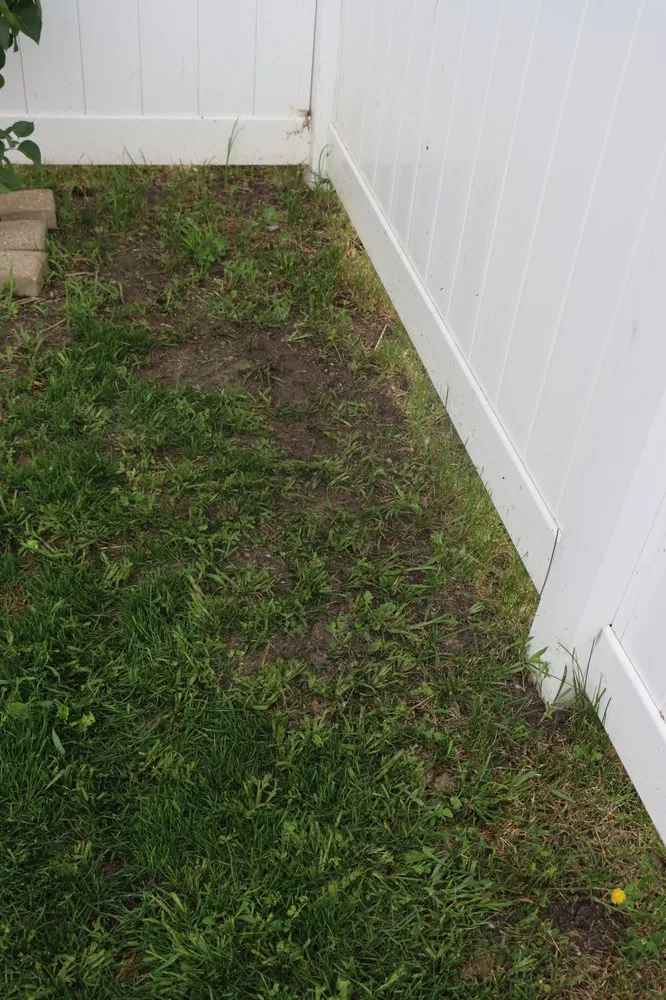 Expert lawn mowing service for year-round maintenance in Hobart, IN by Romes Property Maintenance