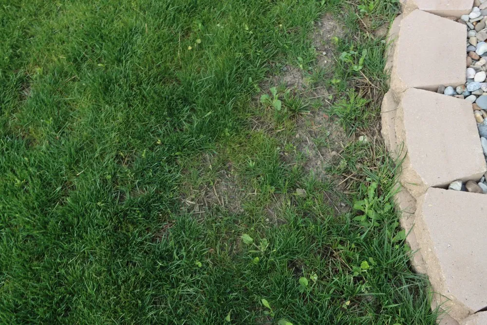 Custom lawn care service in Hobart, IN by Romes Property Maintenance