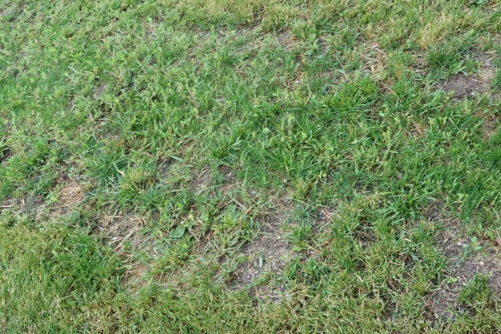 Expert lawn care service for homes across Hobart, IN - Romes Property Maintenance