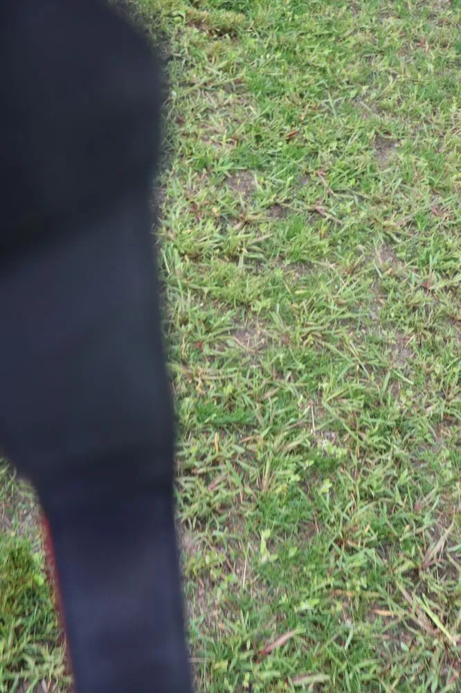 Reliable residential landscaping experts serving Hobart, IN - Romes Property Maintenance