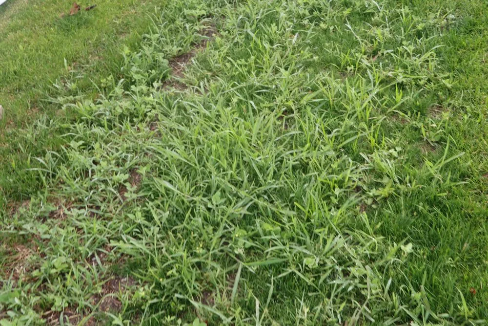 Custom landscaping services with custom design in Hobart, IN by Romes Property Maintenance