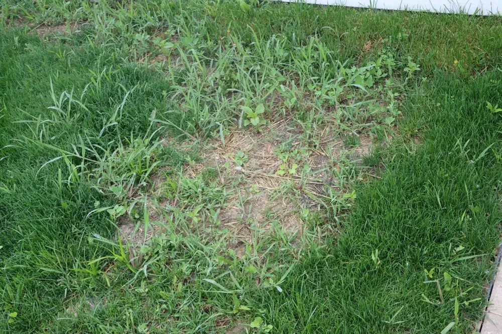 Trusted lawn mowing service for year-round maintenance across Hobart, IN - Romes Property Maintenance