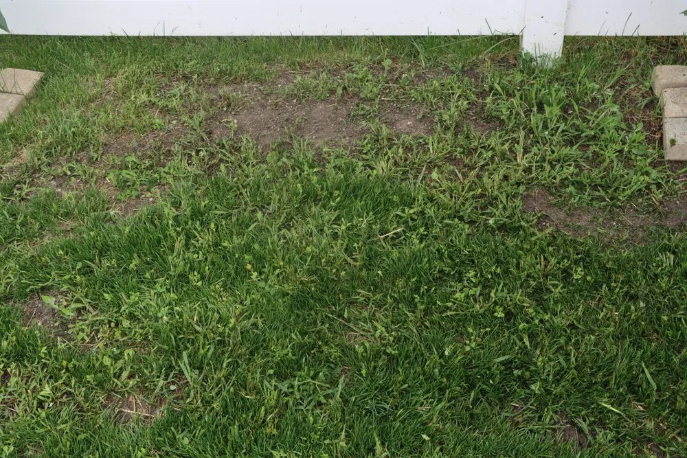 Trusted yard cleanup service with custom design in Hobart, IN by Romes Property Maintenance