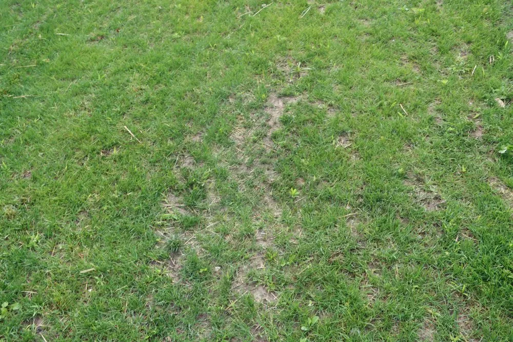 Expert lawn mowing service in Hobart, IN by Romes Property Maintenance