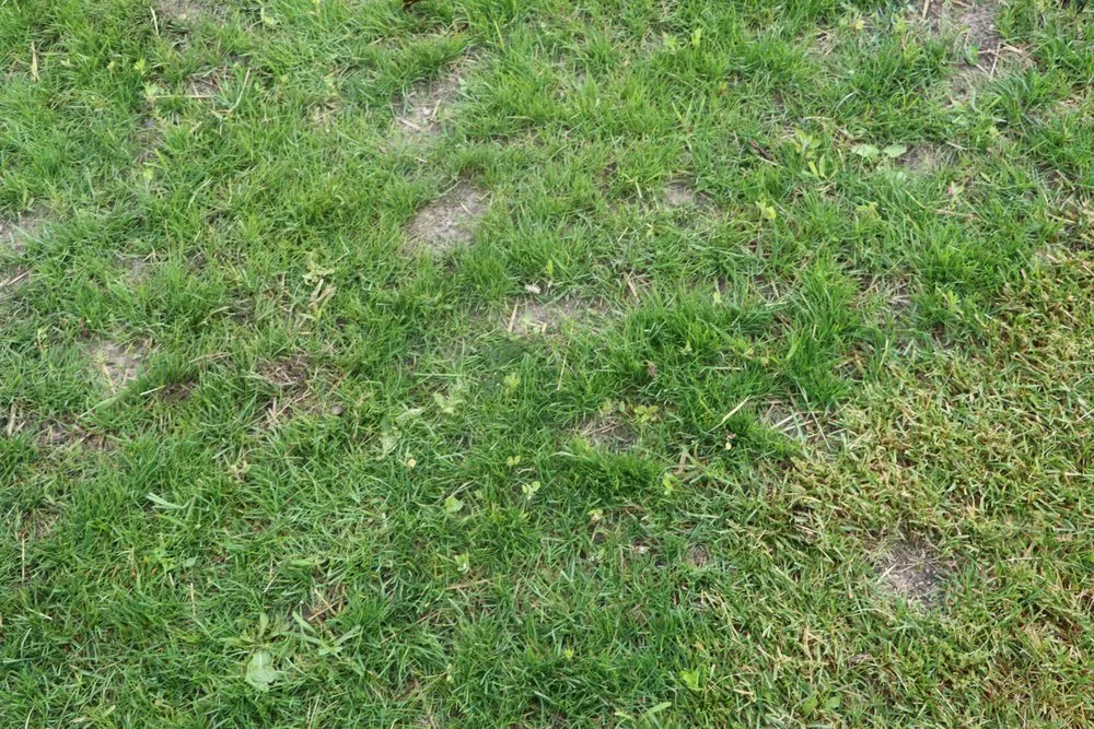 Trusted lawn mowing service experts serving Hobart, IN - Romes Property Maintenance