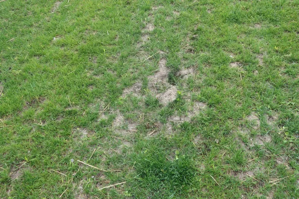 Trusted landscape installation experts serving Hobart, IN - Romes Property Maintenance