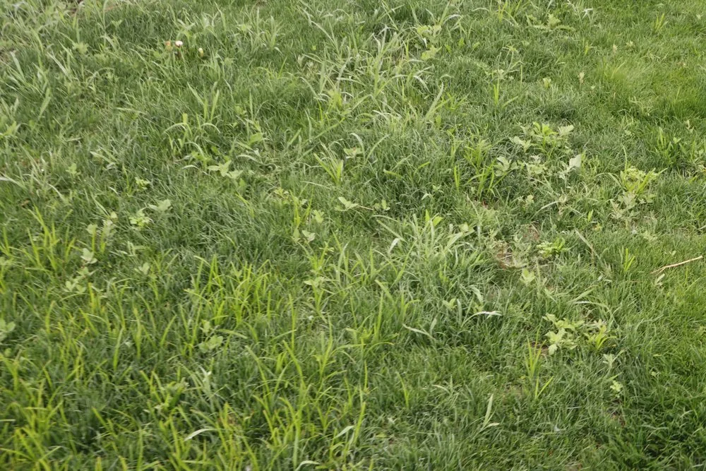 Local lawn mowing service in Hobart, IN by Romes Property Maintenance