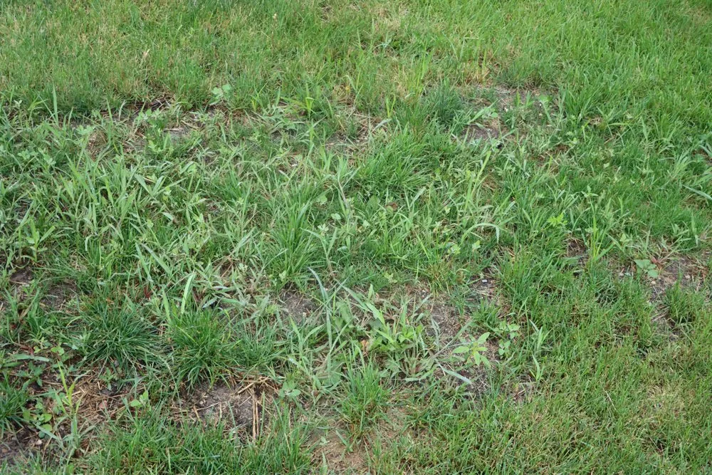 Expert landscaping services experts serving Hobart, IN - Romes Property Maintenance