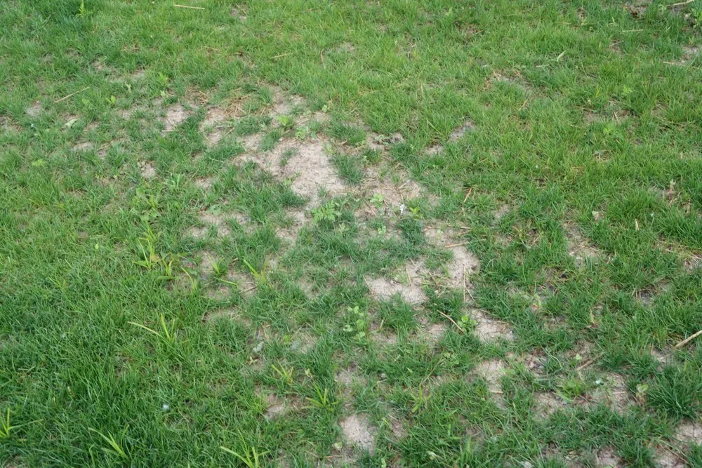 Top-rated garden landscaping near you across Hobart, IN - Romes Property Maintenance