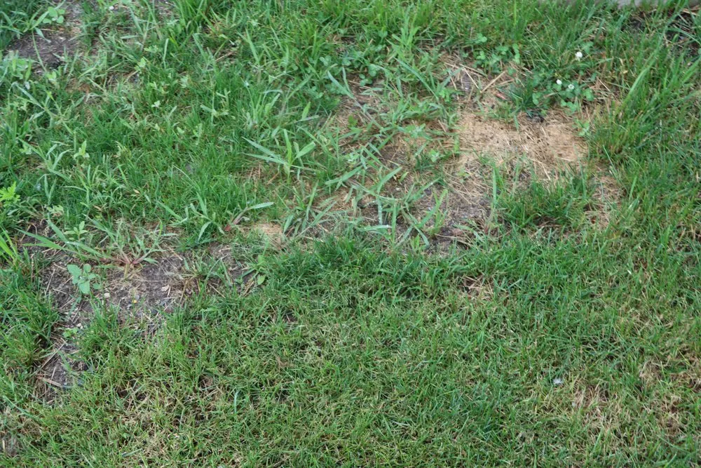 Custom landscape design for homes across Hobart, IN - Romes Property Maintenance