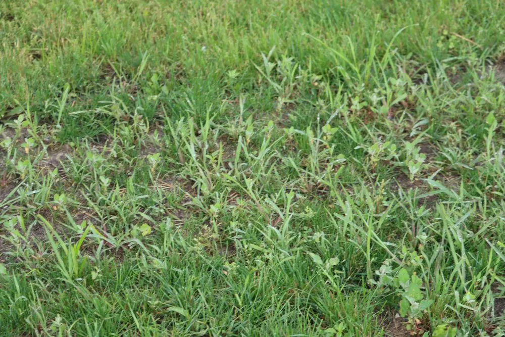 Custom residential landscaping experts serving Hobart, IN - Romes Property Maintenance