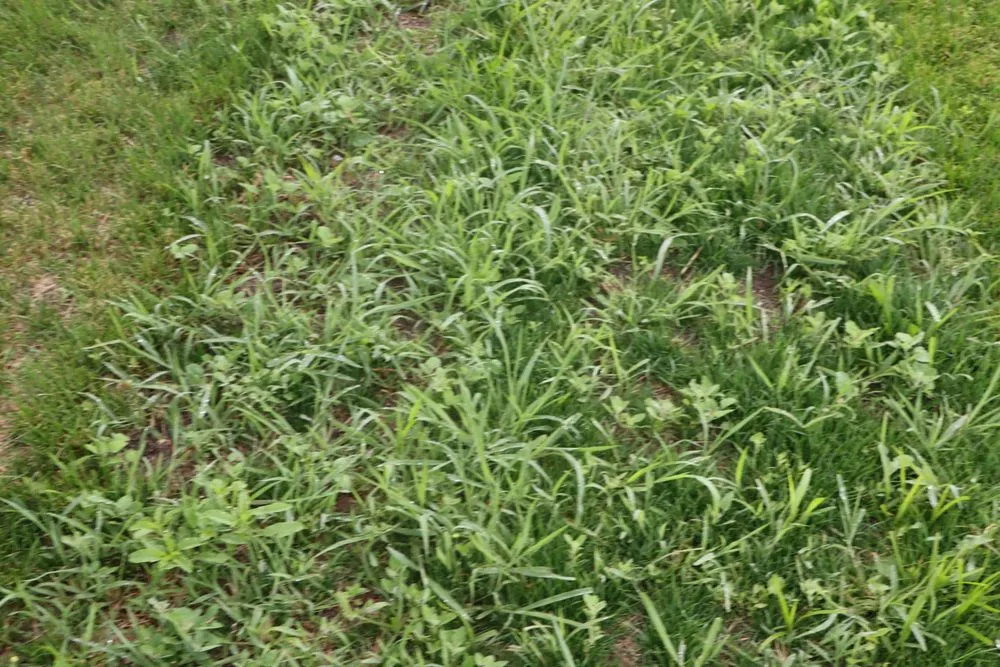 Trusted residential landscaping for beautiful yards across Hobart, IN - Romes Property Maintenance