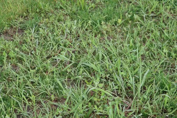 Romes Property Maintenance Logo