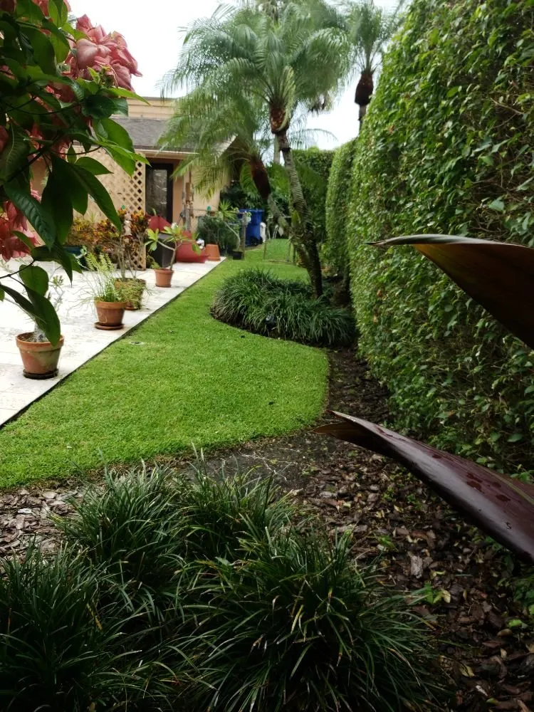 Professional landscape design in Miami, FL by Romex Maintenance