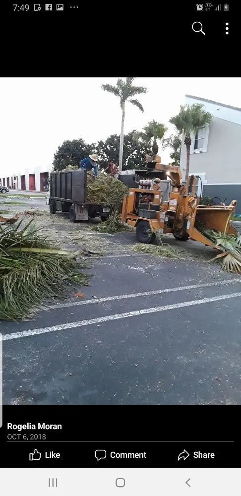 Reliable landscape design for year-round maintenance across Miami, FL - Romex Maintenance