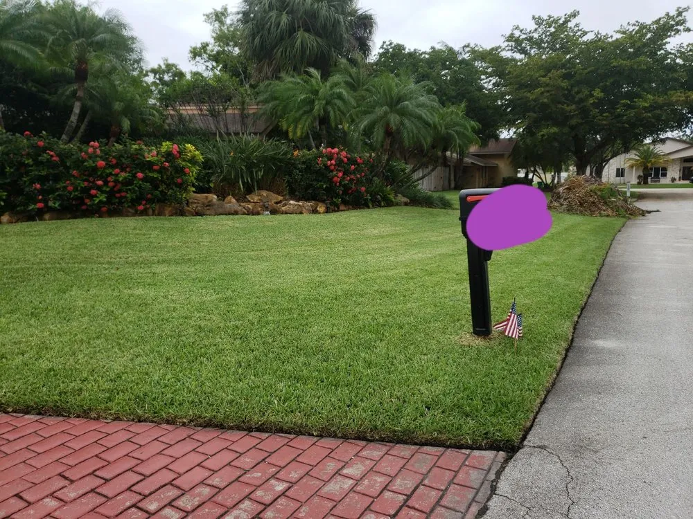 Local yard cleanup service experts serving Miami, FL - Romex Maintenance