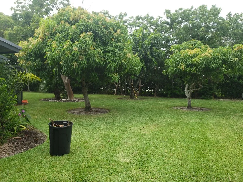 Expert garden landscaping for outdoor upgrades across Miami, FL - Romex Maintenance