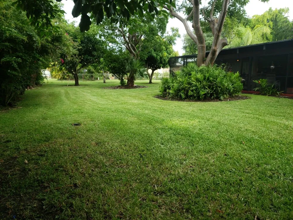 Trusted residential landscaping for year-round maintenance across Miami, FL - Romex Maintenance