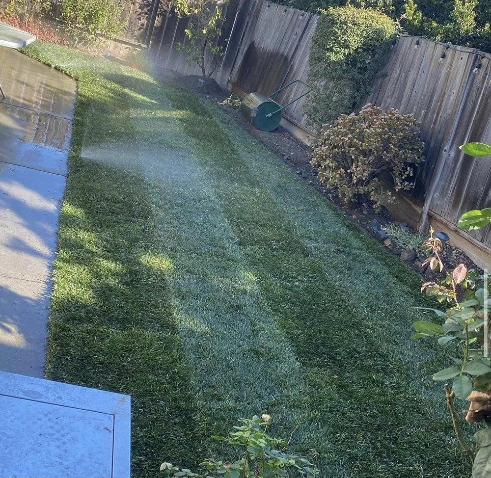 Reliable yard cleanup service in Pittsburg, CA - Román Garden Service