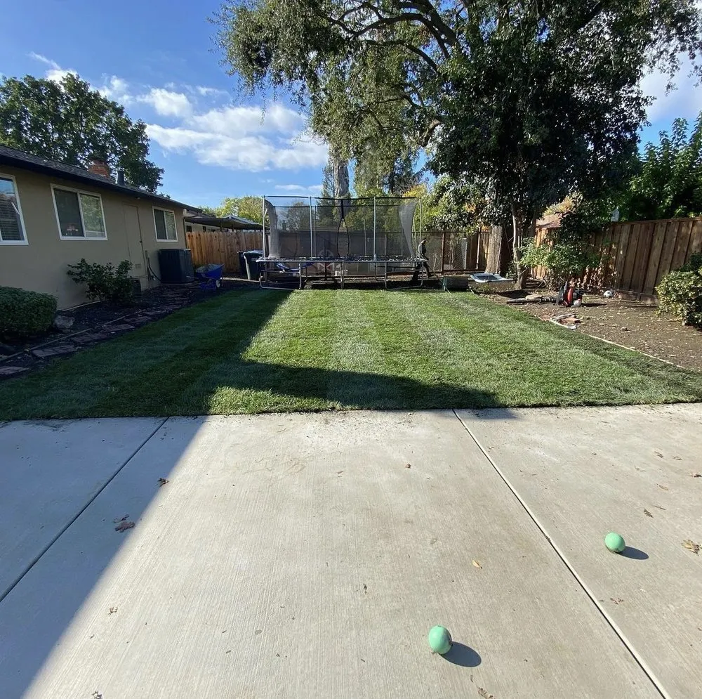 Reliable landscape installation in Pittsburg, CA by Román Garden Service