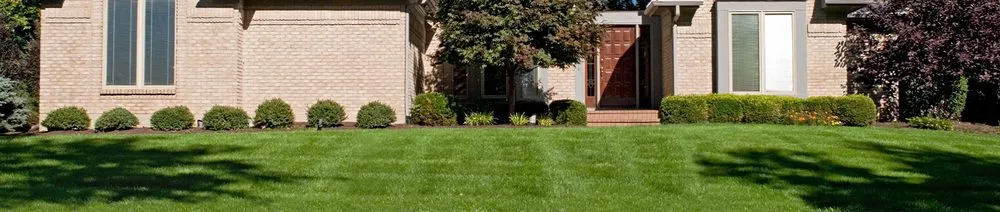 Expert yard cleanup service for homes in Lexington Park, MD by Romo Cleaning