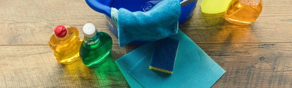 Expert landscaping services for year-round maintenance in Lexington Park, MD by Romo Cleaning