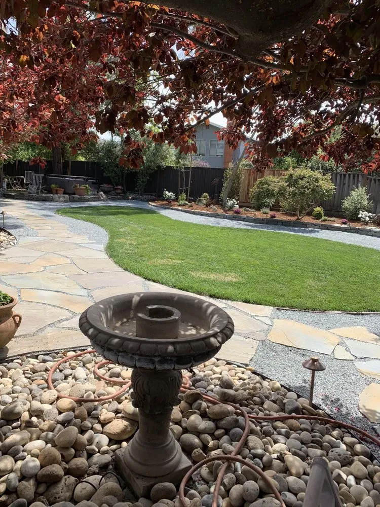 Trusted landscaping services with custom design across San Jose, CA - Romo's Landscaping