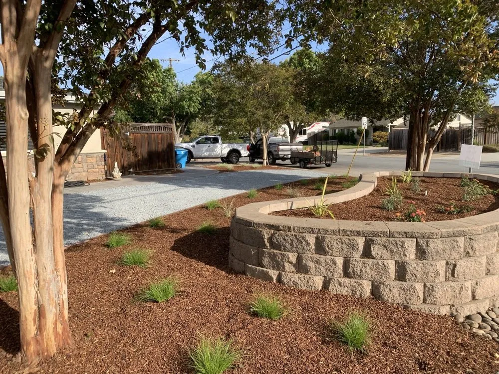 Trusted landscaping services in San Jose, CA by Romo's Landscaping