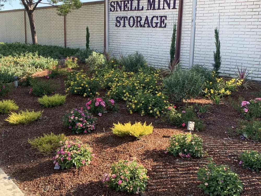 Professional landscaping services in San Jose, CA - Romo's Landscaping