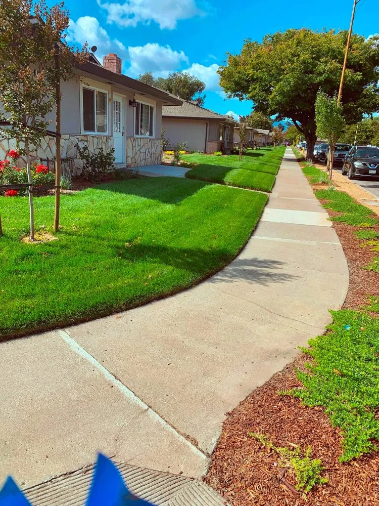 Custom yard maintenance for outdoor upgrades across San Jose, CA - Romo's Landscaping