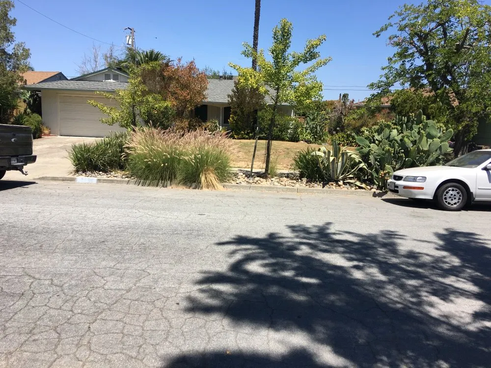 Trusted landscaping services with custom design in San Jose, CA by Romo's Landscaping