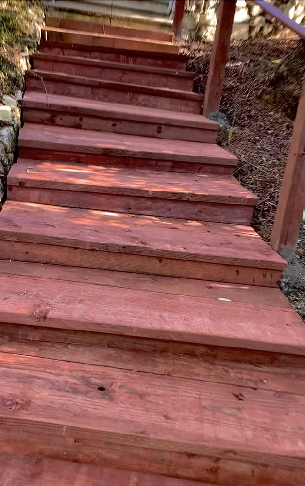 Trusted yard cleanup service in San Jose, CA by Romo's Landscaping