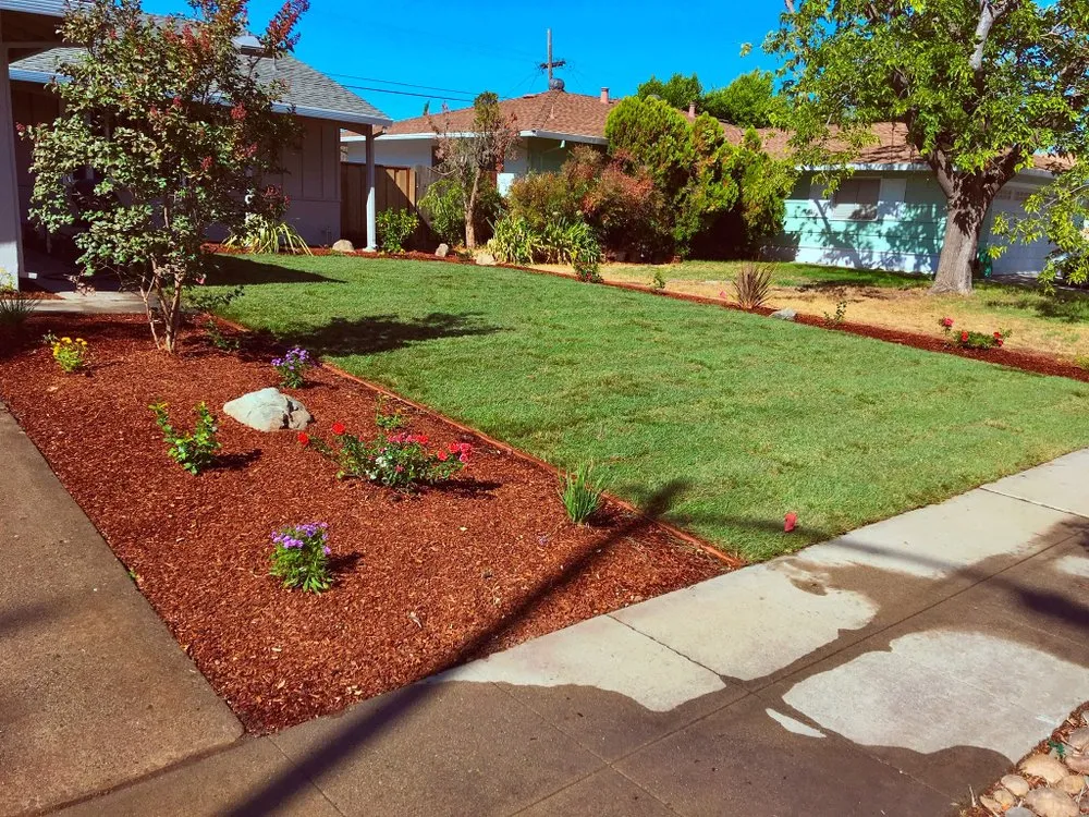 Affordable lawn care service experts serving San Jose, CA - Romo's Landscaping