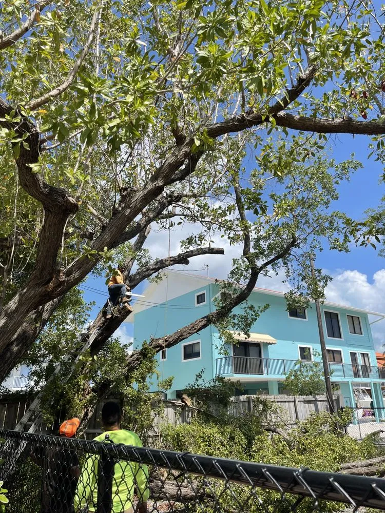 Custom outdoor landscaping in Kendall, FL by Romy Landscaping Design & Borders