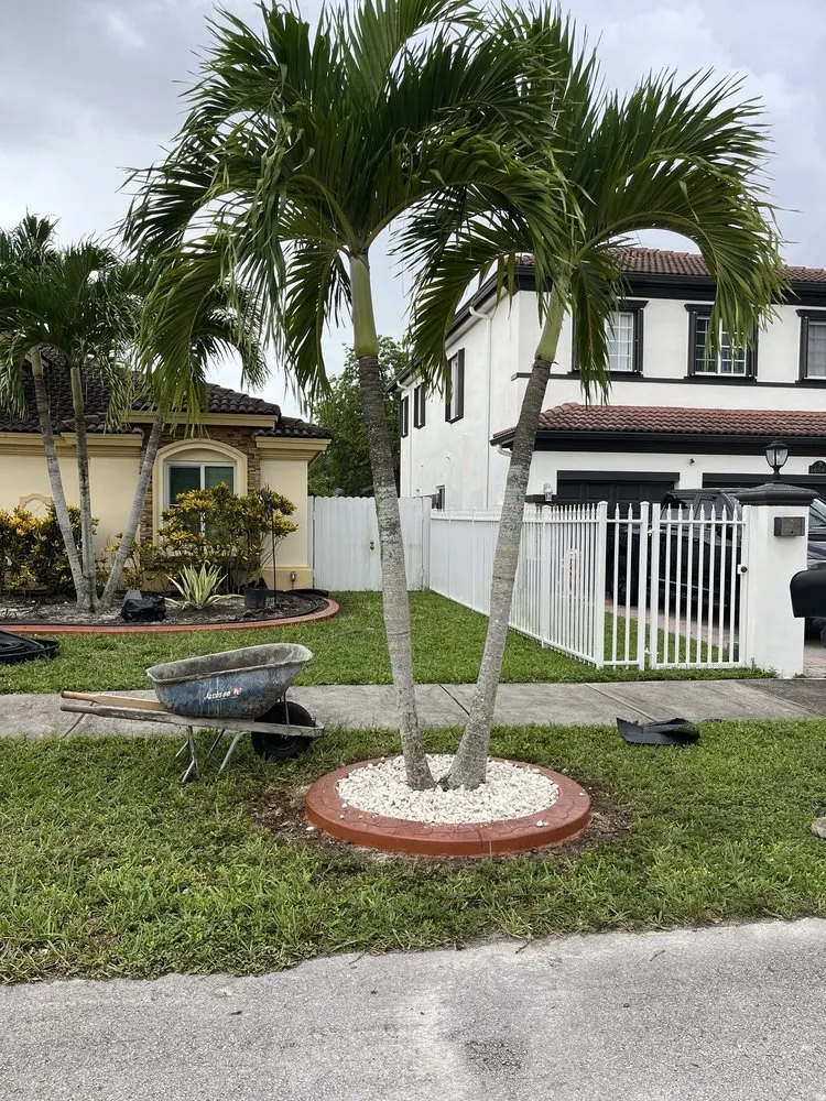 Professional residential landscaping in Kendall, FL by Romy Landscaping Design & Borders