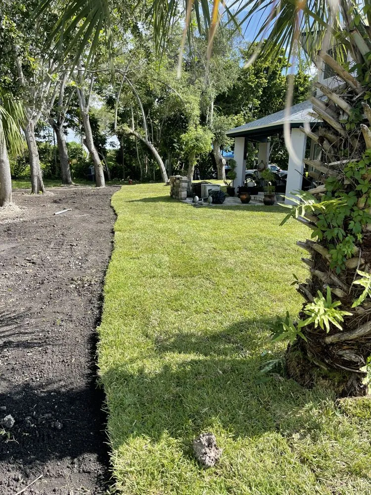Trusted yard maintenance in Kendall, FL - Romy Landscaping Design & Borders