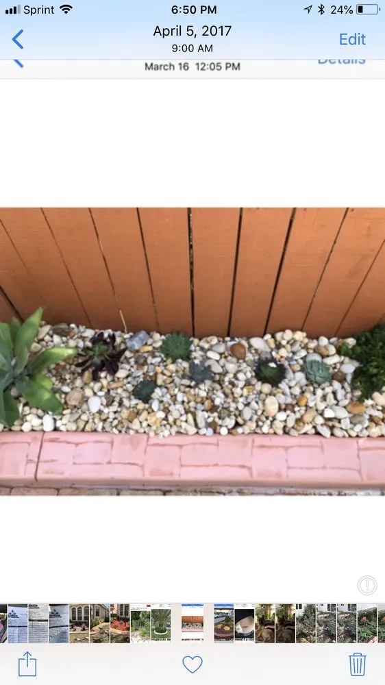 Expert outdoor landscaping experts serving Kendall, FL - Romy Landscaping Design & Borders