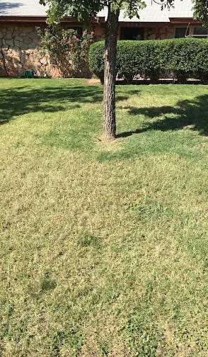 Local landscape installation in Abilene, TX - Ron & Stephs' Abilene Tx Lawns for Less