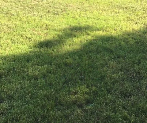 Local residential landscaping in Abilene, TX - Ron & Stephs' Abilene Tx Lawns for Less