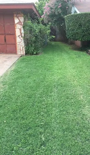Affordable landscaping services in Abilene, TX - Ron & Stephs' Abilene Tx Lawns for Less